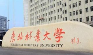 211大学排名哪个最好